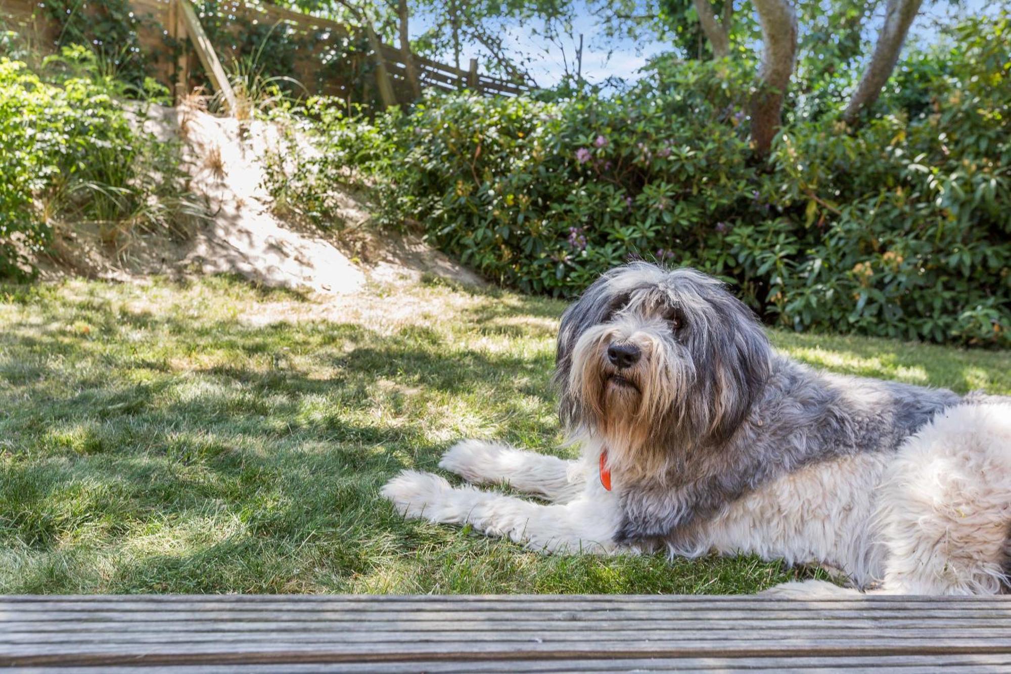 Hébergement de vacances Haus Moevengrund